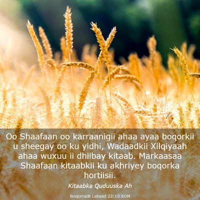 Picture 03 - Boqorradii Labaad 22:10 SOM - Oo Shaafaan oo karraanigii ahaa ayaa boqorkii u - Bible Verse Picture