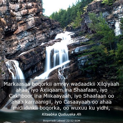 Picture 03 - Boqorradii Labaad 22:12 SOM - Markaasaa boqorkii amray wadaadkii Xilqiyaah - Bible Verse Picture