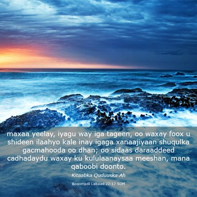 Picture 03 - Boqorradii Labaad 22:17 SOM - maxaa yeelay, iyagu way iga tageen, oo waxay foox - Bible Verse Picture