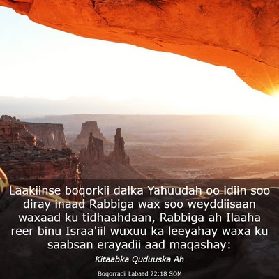 Picture 03 - Boqorradii Labaad 22:18 SOM - Laakiinse boqorkii dalka Yahuudah oo idiin soo - Bible Verse Picture
