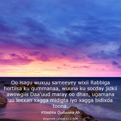 Picture 03 - Boqorradii Labaad 22:2 SOM - Oo isagu wuxuu sameeyey wixii Rabbiga hortiisa ku - Bible Verse Picture