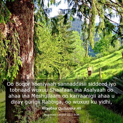 Picture 03 - Boqorradii Labaad 22:3 SOM - Oo Boqor Yoosiyaah sannaddiisii siddeed iyo - Bible Verse Picture