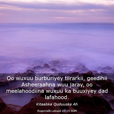 Picture 03 - Boqorradii Labaad 23:14 SOM - Oo wuxuu burburiyey tiirarkii, geedihii - Bible Verse Picture