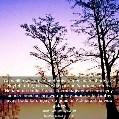 Picture 03 - Boqorradii Labaad 23:15 SOM - Oo weliba wuxuu kaloo dumiyey meeshii allabariga - Bible Verse Picture