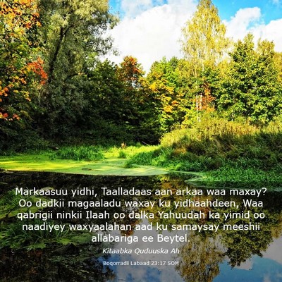 Picture 03 - Boqorradii Labaad 23:17 SOM - Markaasuu yidhi, Taalladaas aan arkaa waa maxay? - Bible Verse Picture