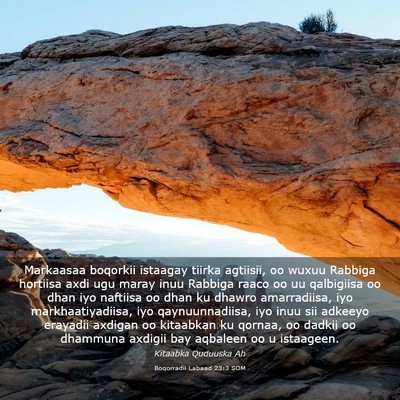 Picture 03 - Boqorradii Labaad 23:3 SOM - Markaasaa boqorkii istaagay tiirka agtiisii, oo - Bible Verse Picture