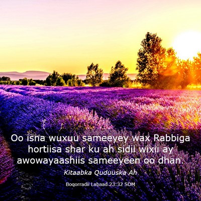 Picture 03 - Boqorradii Labaad 23:32 SOM - Oo isna wuxuu sameeyey wax Rabbiga hortiisa shar - Bible Verse Picture