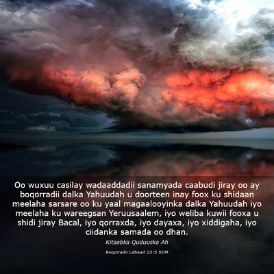 Picture 03 - Boqorradii Labaad 23:5 SOM - Oo wuxuu casilay wadaaddadii sanamyada caabudi - Bible Verse Picture