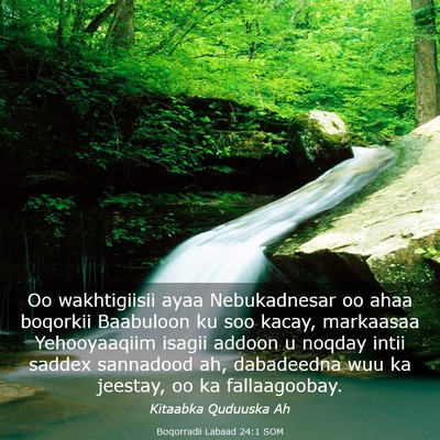 Picture 03 - Boqorradii Labaad 24:1 SOM - Oo wakhtigiisii ayaa Nebukadnesar oo ahaa - Bible Verse Picture