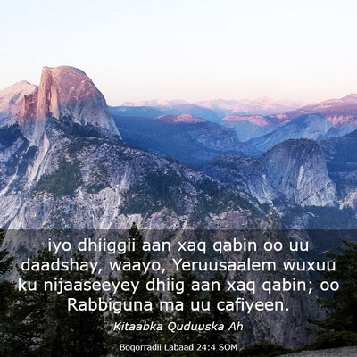 Picture 03 - Boqorradii Labaad 24:4 SOM - iyo dhiiggii aan xaq qabin oo uu daadshay, waayo, - Bible Verse Picture
