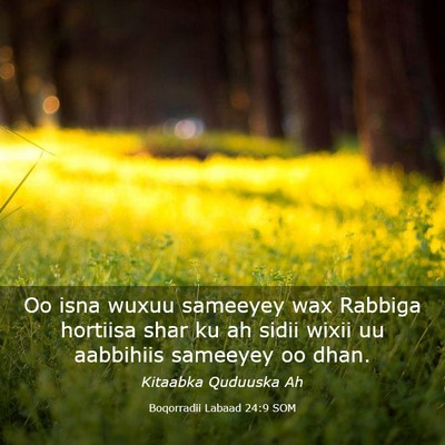 Picture 03 - Boqorradii Labaad 24:9 SOM - Oo isna wuxuu sameeyey wax Rabbiga hortiisa shar - Bible Verse Picture