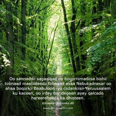 Picture 03 - Boqorradii Labaad 25:1 SOM - Oo sannaddii sagaalaad oo boqornimadiisa bishii - Bible Verse Picture