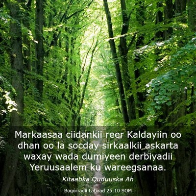 Picture 03 - Boqorradii Labaad 25:10 SOM - Markaasaa ciidankii reer Kaldayiin oo dhan oo la - Bible Verse Picture