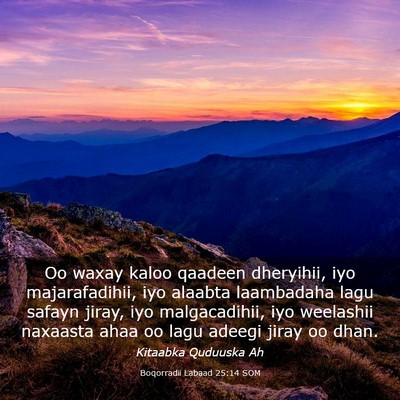 Picture 03 - Boqorradii Labaad 25:14 SOM - Oo waxay kaloo qaadeen dheryihii, iyo - Bible Verse Picture