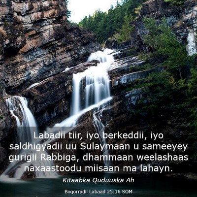 Picture 03 - Boqorradii Labaad 25:16 SOM - Labadii tiir, iyo berkeddii, iyo saldhigyadii uu - Bible Verse Picture