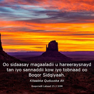 Picture 03 - Boqorradii Labaad 25:2 SOM - Oo sidaasay magaaladii u hareeraysnayd tan iyo - Bible Verse Picture