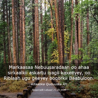 Picture 03 - Boqorradii Labaad 25:20 SOM - Markaasaa Nebuusaradaan oo ahaa sirkaalkii - Bible Verse Picture