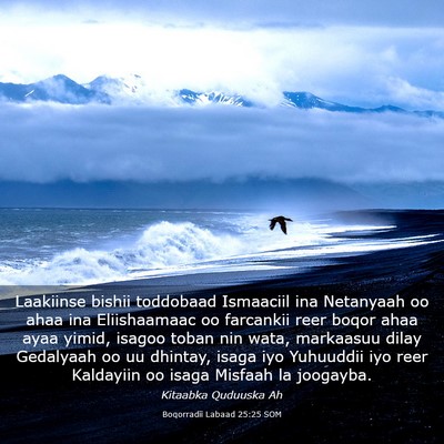 Picture 03 - Boqorradii Labaad 25:25 SOM - Laakiinse bishii toddobaad Ismaaciil ina - Bible Verse Picture