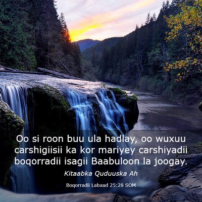 Picture 03 - Boqorradii Labaad 25:28 SOM - Oo si roon buu ula hadlay, oo wuxuu carshigiisii - Bible Verse Picture