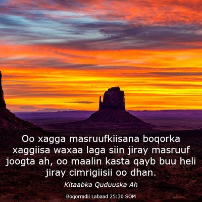 Picture 03 - Boqorradii Labaad 25:30 SOM - Oo xagga masruufkiisana boqorka xaggiisa waxaa - Bible Verse Picture
