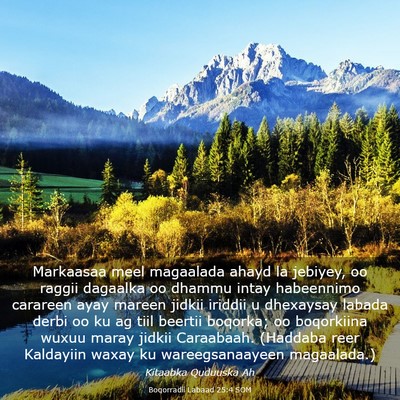 Picture 03 - Boqorradii Labaad 25:4 SOM - Markaasaa meel magaalada ahayd la jebiyey, oo - Bible Verse Picture