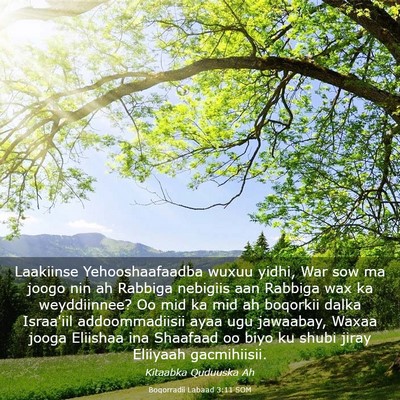 Picture 03 - Boqorradii Labaad 3:11 SOM - Laakiinse Yehooshaafaadba wuxuu yidhi, War sow ma - Bible Verse Picture