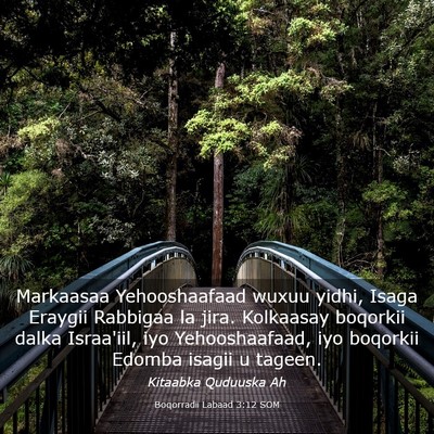 Picture 03 - Boqorradii Labaad 3:12 SOM - Markaasaa Yehooshaafaad wuxuu yidhi, Isaga - Bible Verse Picture