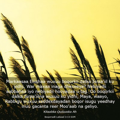 Picture 03 - Boqorradii Labaad 3:13 SOM - Markaasaa Eliishaa wuxuu boqorkii dalka Israa'iil - Bible Verse Picture