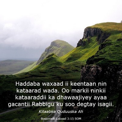 Picture 03 - Boqorradii Labaad 3:15 SOM - Haddaba waxaad ii keentaan nin kataarad wada. Oo - Bible Verse Picture
