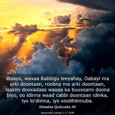 Picture 03 - Boqorradii Labaad 3:17 SOM - Waayo, waxaa Rabbigu leeyahay, Dabayl ma arki - Bible Verse Picture