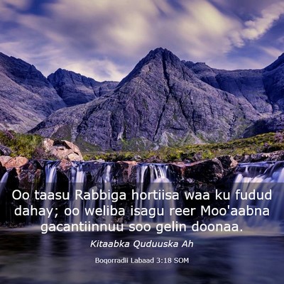Picture 03 - Boqorradii Labaad 3:18 SOM - Oo taasu Rabbiga hortiisa waa ku fudud dahay; oo - Bible Verse Picture