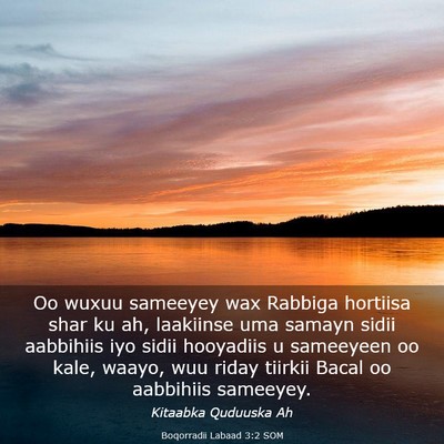 Picture 03 - Boqorradii Labaad 3:2 SOM - Oo wuxuu sameeyey wax Rabbiga hortiisa shar ku - Bible Verse Picture