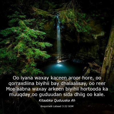 Picture 03 - Boqorradii Labaad 3:22 SOM - Oo iyana waxay kaceen aroor hore, oo qorraxdiina - Bible Verse Picture