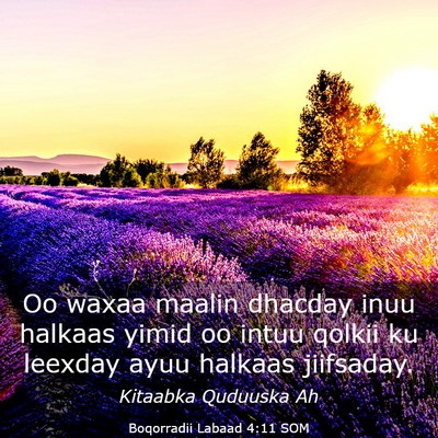 Picture 03 - Boqorradii Labaad 4:11 SOM - Oo waxaa maalin dhacday inuu halkaas yimid oo - Bible Verse Picture