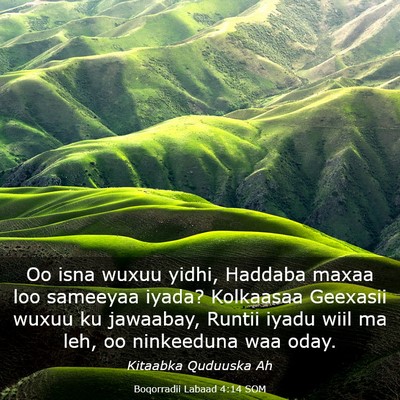 Picture 03 - Boqorradii Labaad 4:14 SOM - Oo isna wuxuu yidhi, Haddaba maxaa loo sameeyaa - Bible Verse Picture