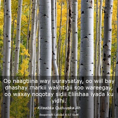 Picture 03 - Boqorradii Labaad 4:17 SOM - Oo naagtiina way uuraysatay, oo wiil bay dhashay - Bible Verse Picture
