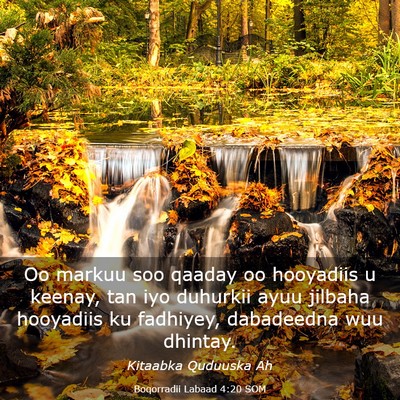 Picture 03 - Boqorradii Labaad 4:20 SOM - Oo markuu soo qaaday oo hooyadiis u keenay, tan - Bible Verse Picture