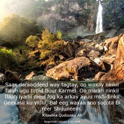 Picture 03 - Boqorradii Labaad 4:25 SOM - Saas daraaddeed way tagtay, oo waxay ninkii Ilaah - Bible Verse Picture