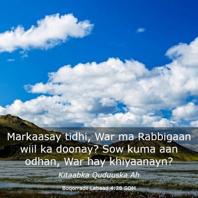 Picture 03 - Boqorradii Labaad 4:28 SOM - Markaasay tidhi, War ma Rabbigaan wiil ka doonay? - Bible Verse Picture