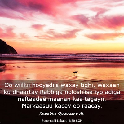 Picture 03 - Boqorradii Labaad 4:30 SOM - Oo wiilkii hooyadiis waxay tidhi, Waxaan ku - Bible Verse Picture