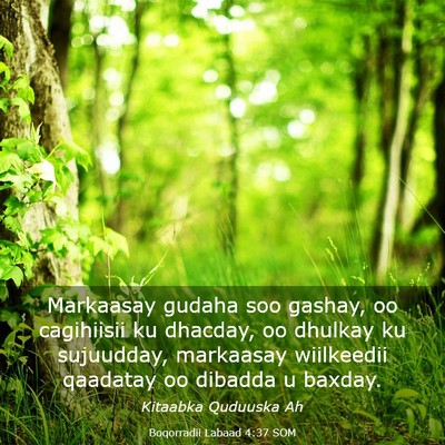 Picture 03 - Boqorradii Labaad 4:37 SOM - Markaasay gudaha soo gashay, oo cagihiisii ku - Bible Verse Picture
