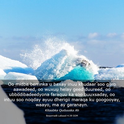 Picture 03 - Boqorradii Labaad 4:39 SOM - Oo midba berrinka u baxay inuu khudaar soo guro - Bible Verse Picture