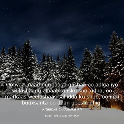 Picture 03 - Boqorradii Labaad 4:4 SOM - Oo waa inaad gurigaaga gashaa oo adiga iyo - Bible Verse Picture