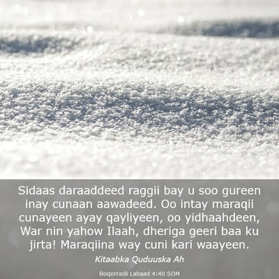 Picture 03 - Boqorradii Labaad 4:40 SOM - Sidaas daraaddeed raggii bay u soo gureen inay - Bible Verse Picture