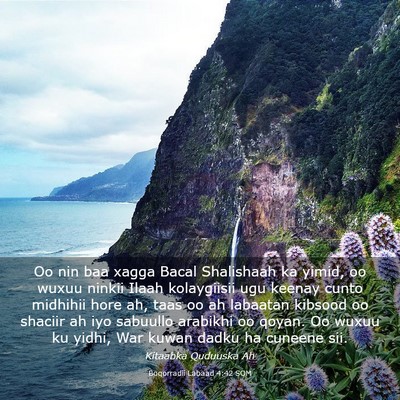 Picture 03 - Boqorradii Labaad 4:42 SOM - Oo nin baa xagga Bacal Shalishaah ka yimid, oo - Bible Verse Picture