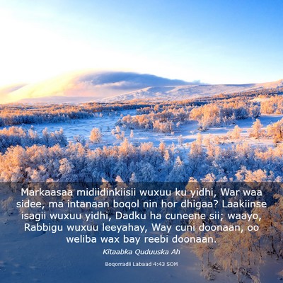 Picture 03 - Boqorradii Labaad 4:43 SOM - Markaasaa midiidinkiisii wuxuu ku yidhi, War waa - Bible Verse Picture