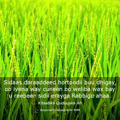 Picture 03 - Boqorradii Labaad 4:44 SOM - Sidaas daraaddeed hortoodii buu dhigay, oo iyana - Bible Verse Picture