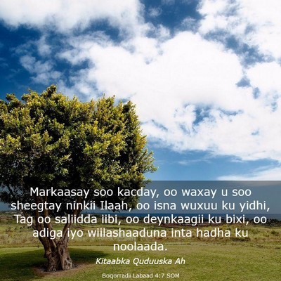 Picture 03 - Boqorradii Labaad 4:7 SOM - Markaasay soo kacday, oo waxay u soo sheegtay - Bible Verse Picture