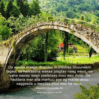 Picture 03 - Boqorradii Labaad 4:8 SOM - Oo waxaa maalin dhacday in Eliishaa Shuuneem - Bible Verse Picture