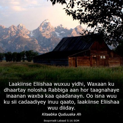 Picture 03 - Boqorradii Labaad 5:16 SOM - Laakiinse Eliishaa wuxuu yidhi, Waxaan ku - Bible Verse Picture